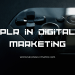 What is PLR in Digital Marketing